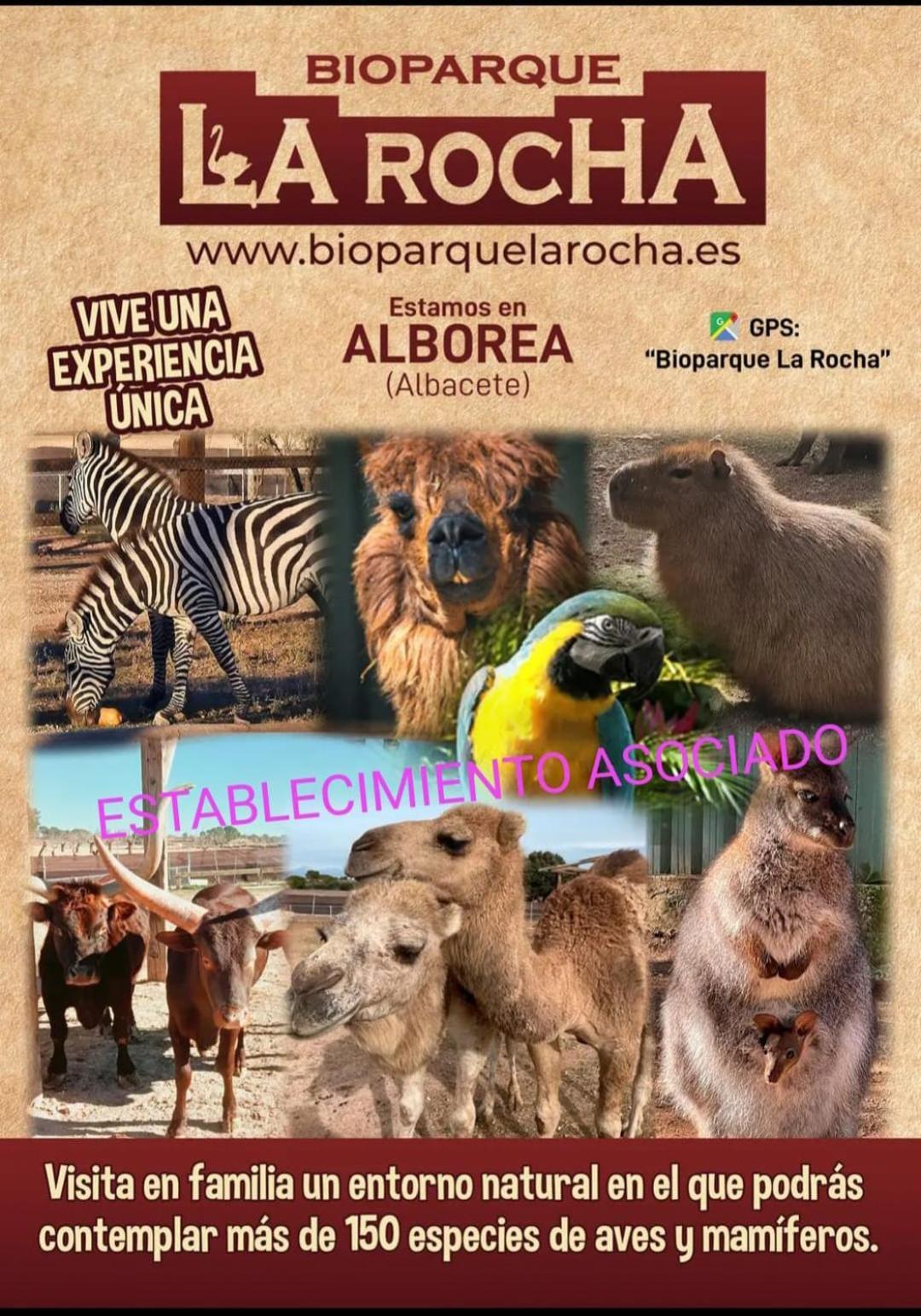 Rodenas Valero * Alborea